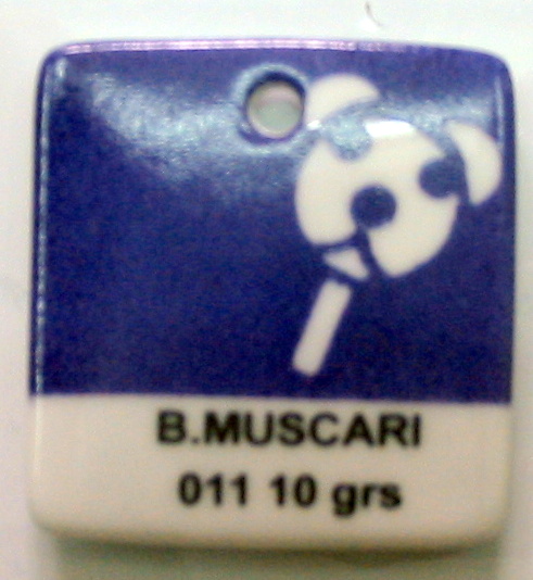 BLEU MUSCARI - 10 g.