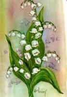 n° 25 - LILY OF THE VALLEY