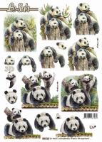 3D 680105 - Pandas