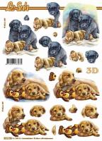 3D 8215796 - Labradors