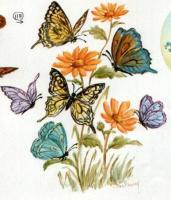 n° 40 - BUTTERFLIES AND INSECTS