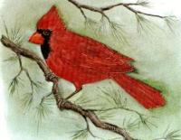 n° 50 - CARDINAL - RED BIRD