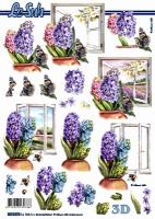 3 D 8215576 - Fenêtres fleuries jacinthes