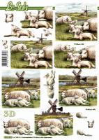 3D 8215651-Moutons