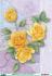 3D - 4177006 Roses (yellow)  6 Sheets