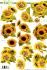 3D 777365-Sunflowers