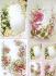 3D 83551- Roses, églantines et marguerites - Prédécoupée